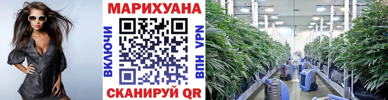 Купить наркотик аптеки Тверь Каннабис  Меф  СОЛЬ  Метамфетамин  ГАШ 