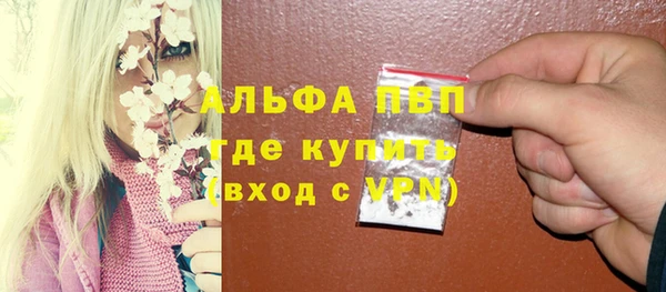 spice Аркадак