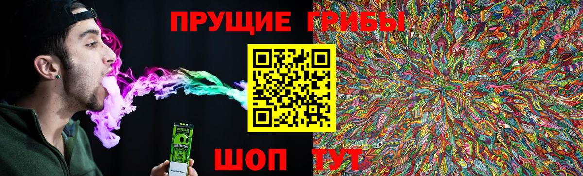 Галлюциногенные грибы Psilocybe  сколько стоит  Тверь  Вход с VPN 